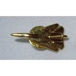 F 111 General Dynamicsna znaczek 3D samolot na pins złoty (id: 197)